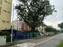 Cheong Chin Nam Road (D21), Semi-Detached #458061441